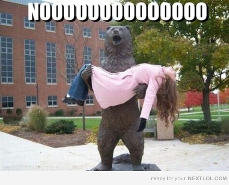 25745-noooooooo_medium