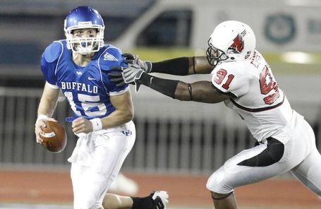 Mccoy_sports_bulls_medium