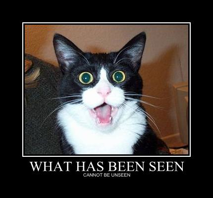 20080131-n5ndu5aje58gymcdp87frw3ixm_medium