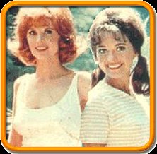 87570-gilligan_s_island_find_attractive_medium